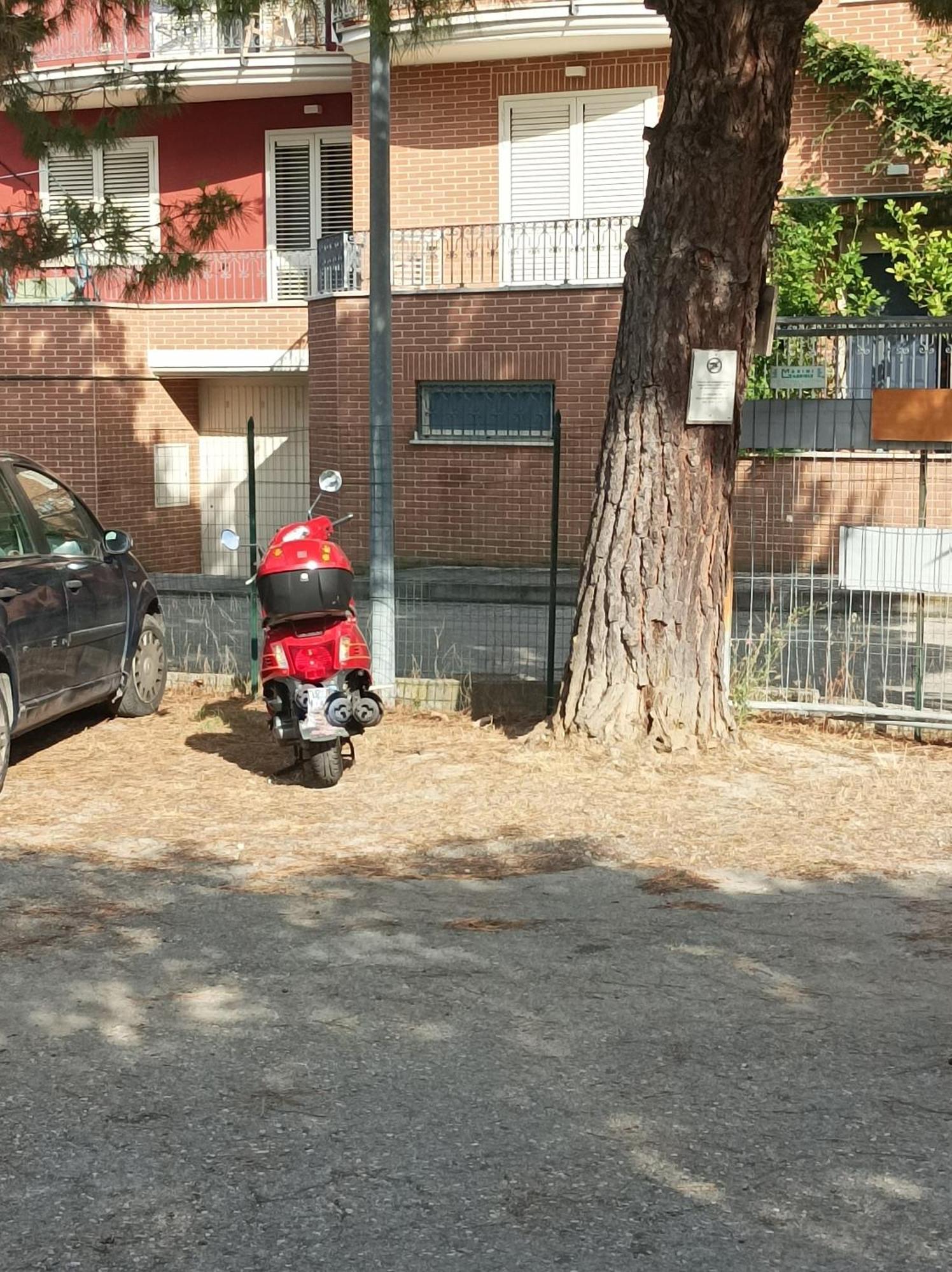 Villaggio Verde Cupra Cupra Marittima Exteriör bild