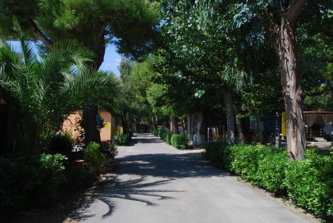 Villaggio Verde Cupra Cupra Marittima Exteriör bild
